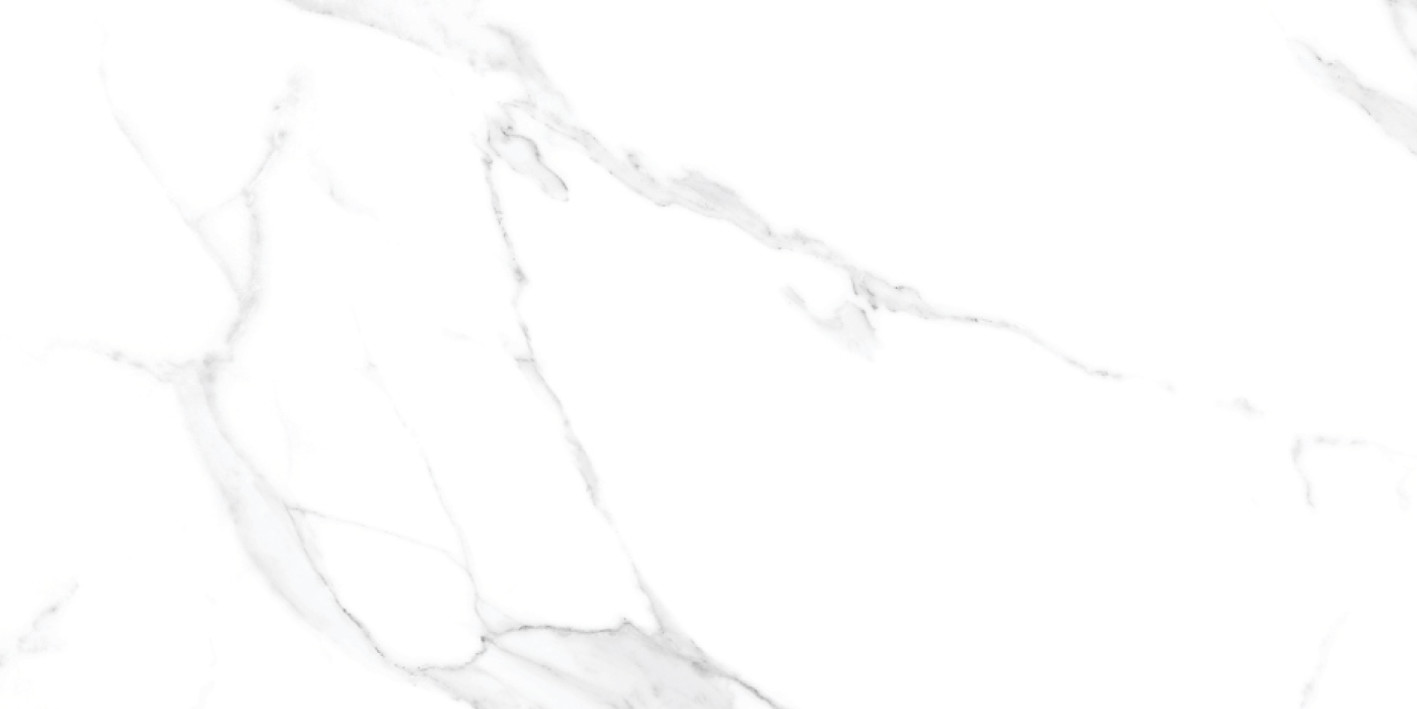 STATUARIO Z ELEGANT RECTIFIED 60X120  Image 1++