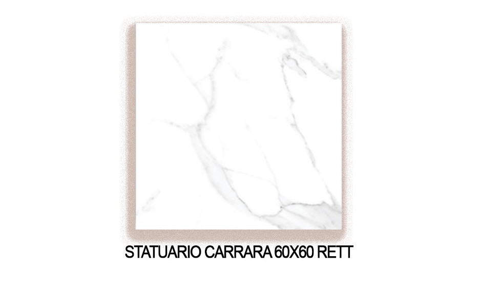 STATUARIO CARRARA 60X60 RETT Image 1++