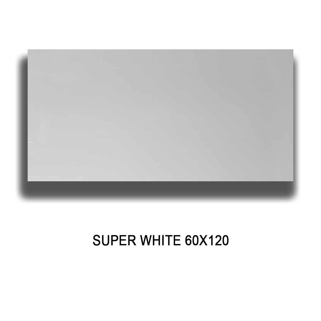 SUPER WHITE 60X120 Image 1++