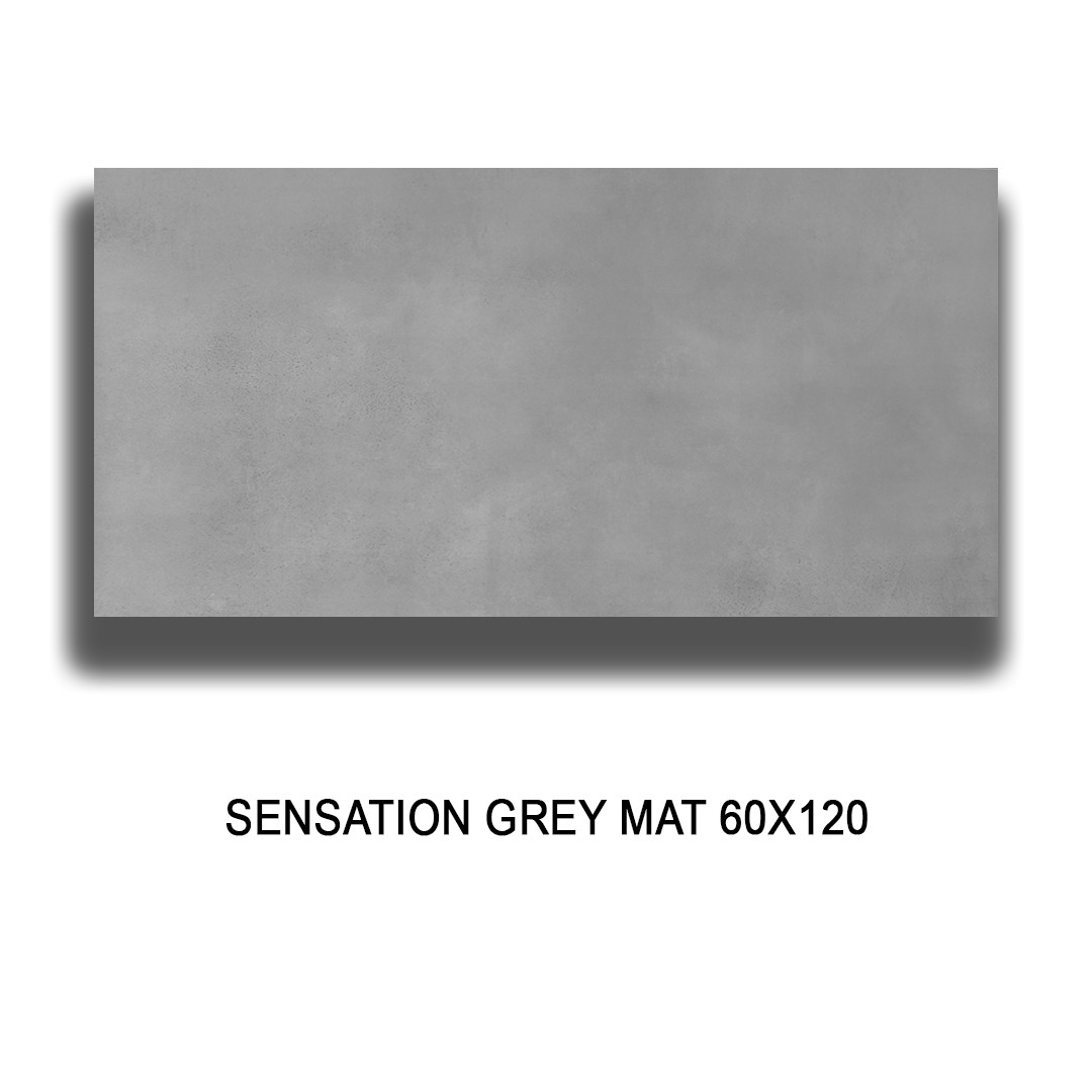 SENSATION GREY MAT 60X120 