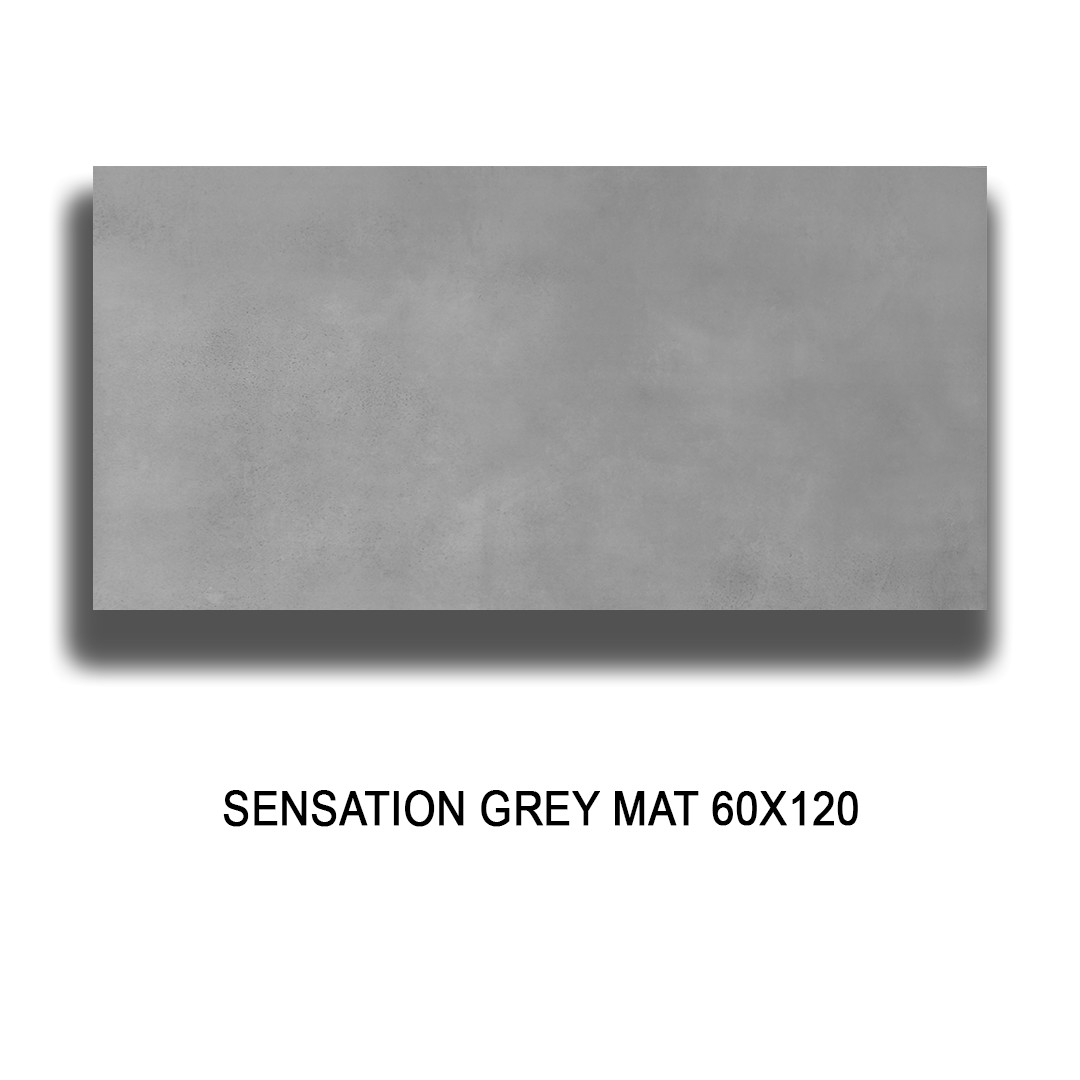 SENSATION GREY MAT 60X120  Image 1++