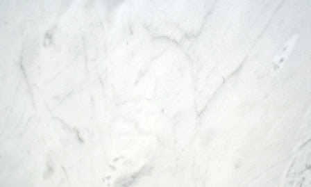 ΜΑΡΜΑΡΟ BIANCO ROYAL