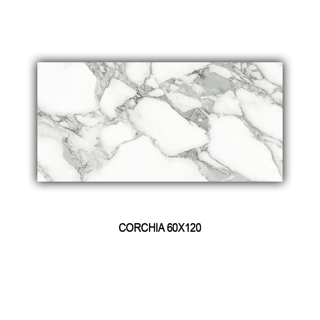 CORCHIA 60X120 Image 1++