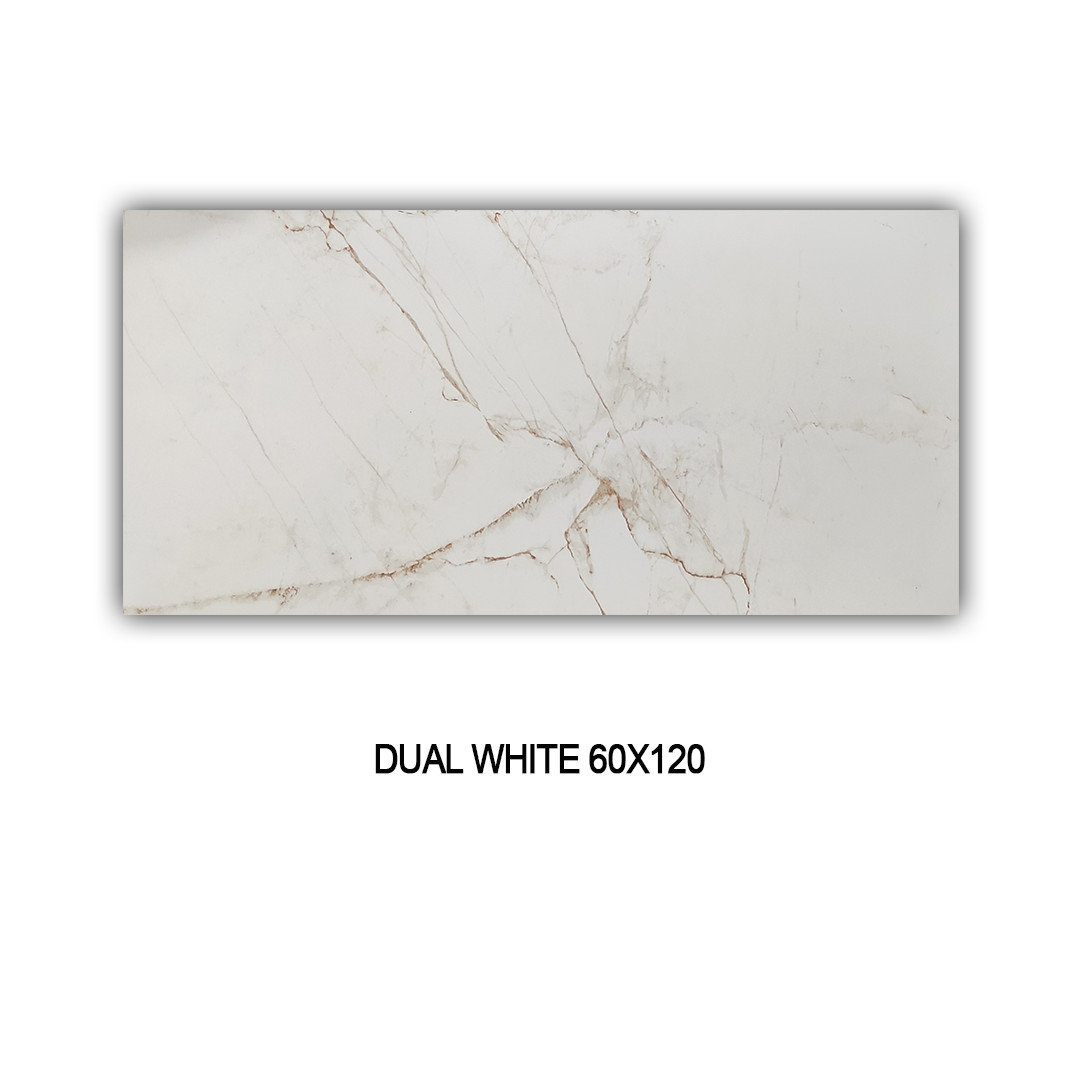 DUAL WHITE 60X120