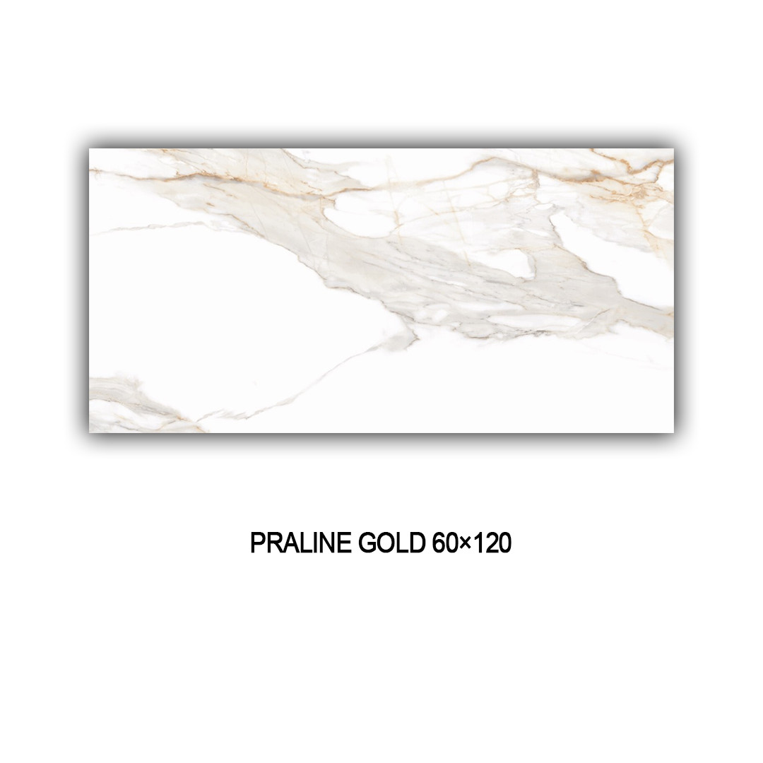 PRALINE GOLD 60X120