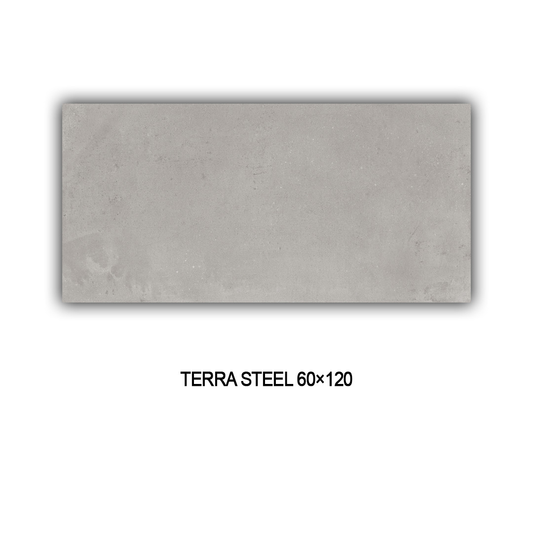 TERRA STEEL 60X120 Image 1++