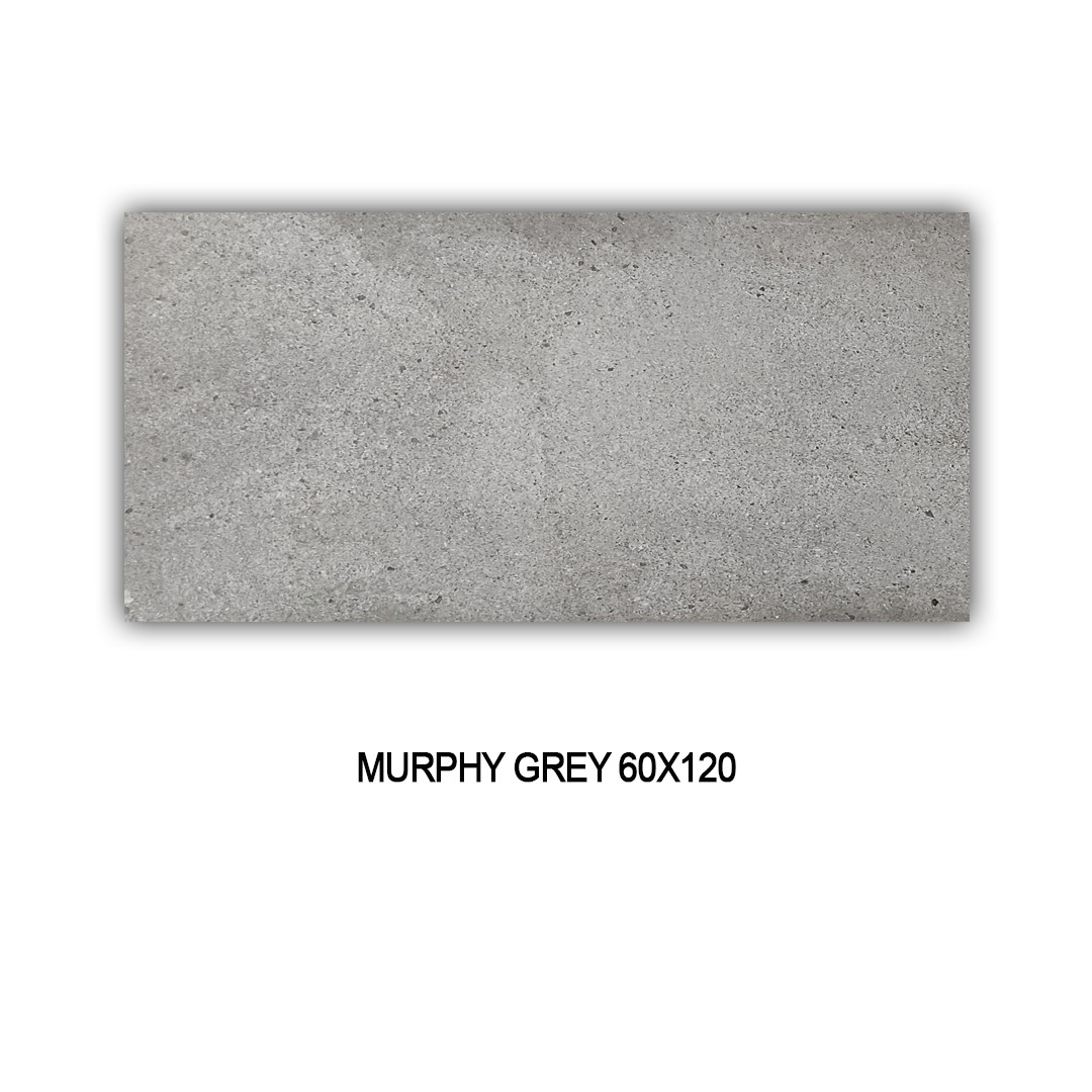 MURPHY GREY 60X120 Image 1++