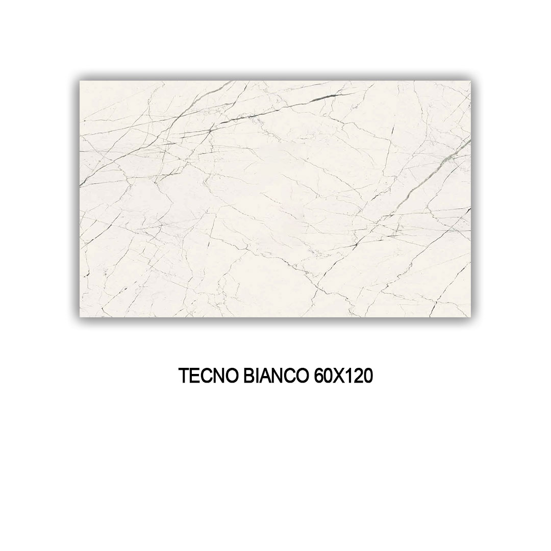 TECNO BIANCO 60X120 Image 1++