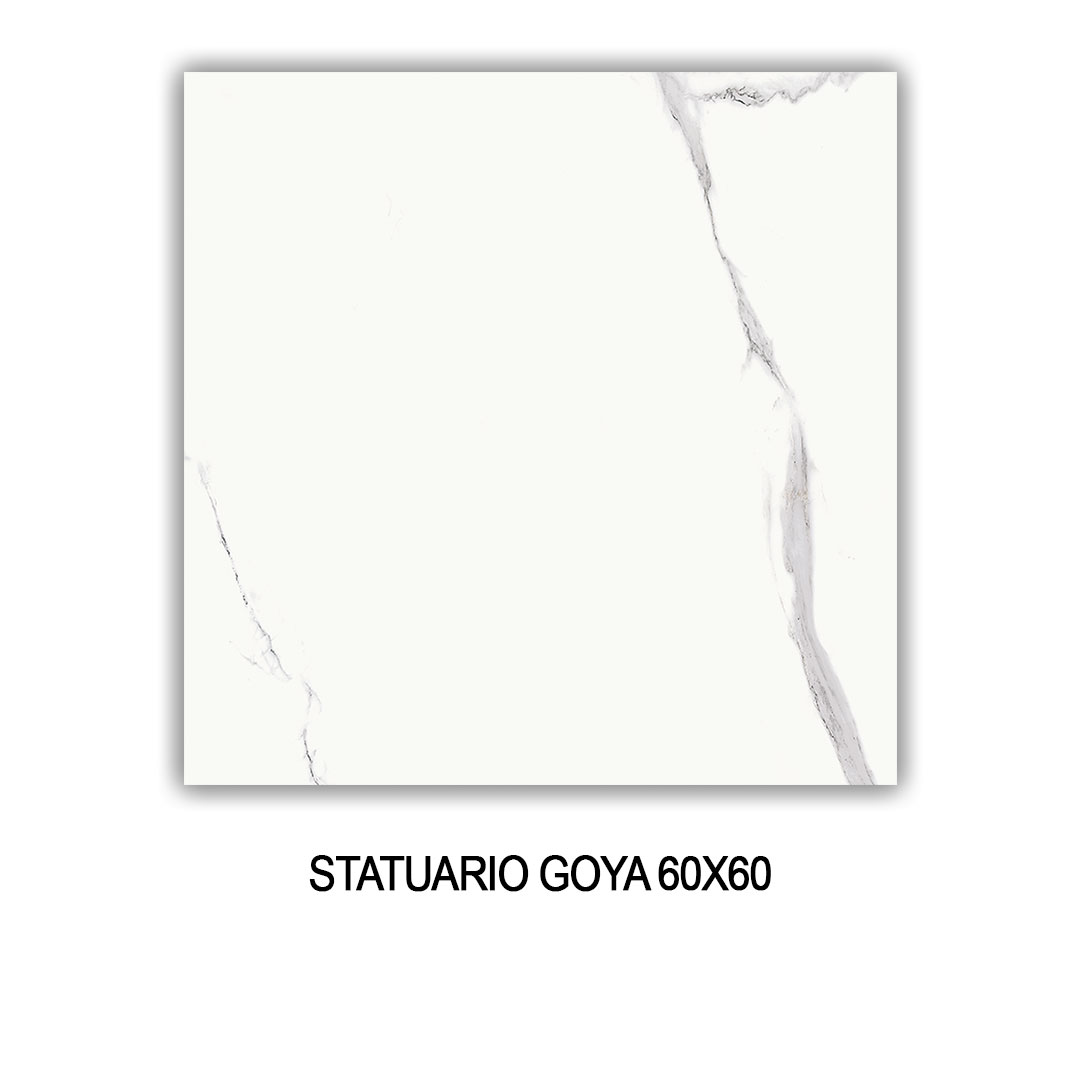 STATUARIO GOYA 60X60 Image 1++