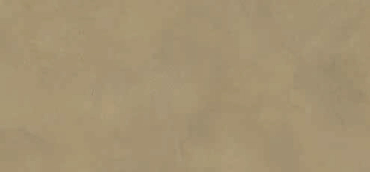 LUCE 60X120 Image 1++